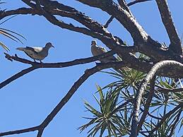 Sapphire Sanctuary by the Sea