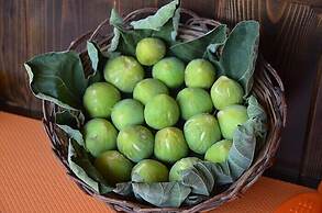 Baia Santa Margherita B&B