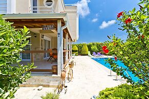 Paradise Town Villa ART