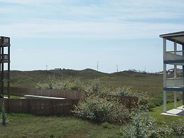 Orange Seahorse House 682KD