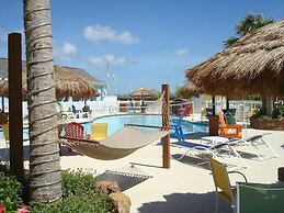 Walk The Plank PB109