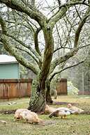 Hotel Etico at Mount Victoria Manor