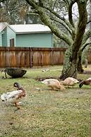 Hotel Etico at Mount Victoria Manor