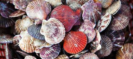 Fishing Village Mui Ne