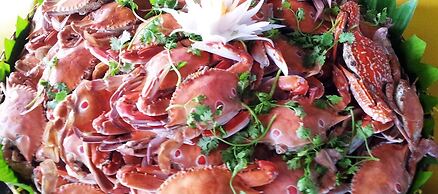 Fishing Village Mui Ne