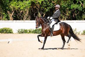 Hotel Casa Hemingway