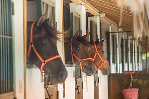 Hotel Casa Hemingway