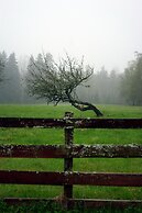 Smultronboda Fårgård