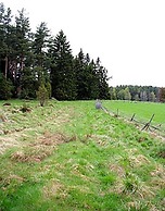 Smultronboda Fårgård