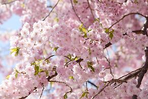 Kawaguchiko country cottage Ban