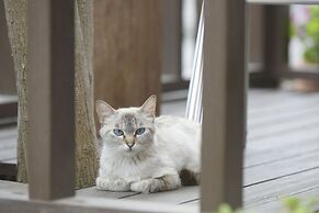 Kawaguchiko country cottage Ban