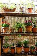 A Casa di Amici Boutique Hostel