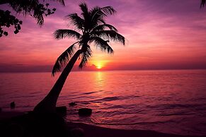 Tropic Tree Hotel Maldives