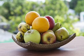 Tropic Tree Hotel Maldives