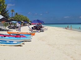 Tropic Tree Hotel Maldives