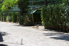 Camping Valencia El Saler