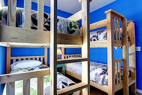 Bonzai Bay SP1 2 8 9