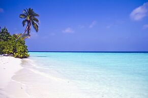 Safari Island Resort