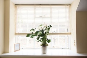 The Lodge at Broadway