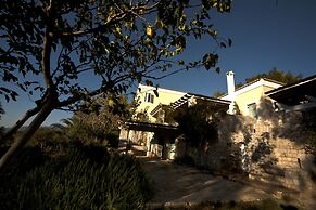 Electra Beachfront Villa