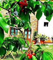 Podere Borgaruccio Agriturismo