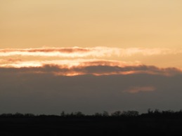 Kingfisher Cambridge Central West Apartments