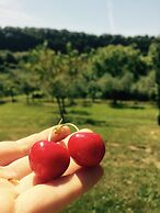 Bio Agriturismo Valle dei Calanchi