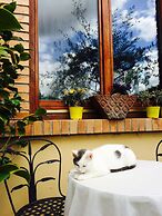 Bio Agriturismo Valle dei Calanchi