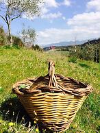 Bio Agriturismo Valle dei Calanchi