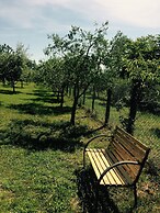 Bio Agriturismo Valle dei Calanchi