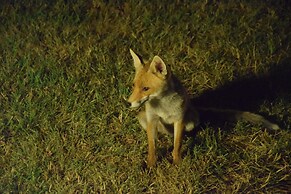 Bio Agriturismo Valle dei Calanchi