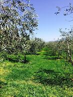 Bio Agriturismo Valle dei Calanchi