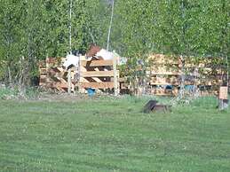 Wells Gray Golf resort and RV park