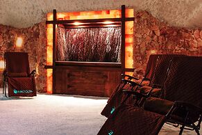 Embassy Suites by Hilton San Antonio Brooks Hotel & Spa