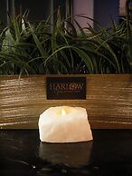 Curtiss Hotel, Ascend Hotel Collection