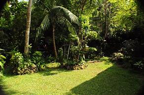 Kandy Shady Trees Villa