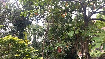 Kandy Shady Trees Villa