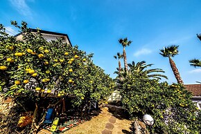 The May of Jeju House Pension