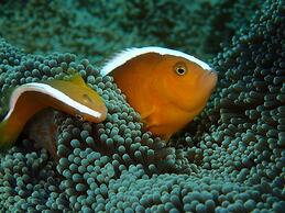 Alami Resort & Restaurant