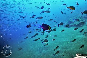 La Bila Dive Resort Amed