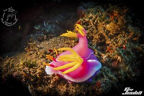 La Bila Dive Resort Amed