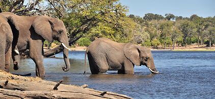 Thebe River Safaris