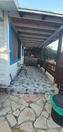 The Lake House