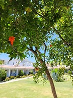 Kefi Beach and Suites