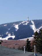 Ferienhaus Fichtelberg