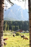 Alpin Haus