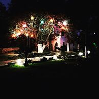 Cohiba Boutique & Beach