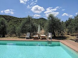 Petrolo