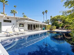 Alexander in the Sun