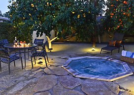 Alexander in the Sun